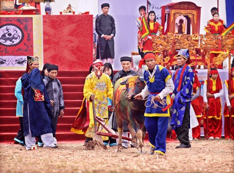 Farmers in Ha Nam take part in the "Tich Dien" Festival by going to the field and ploughing forrows last year. (Filed photo)